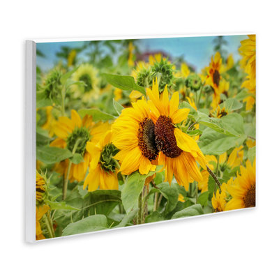 Photographie de champ de tournesols, art mural par Carrie Ann Grippo-Pike