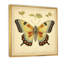 Illustration rétro d'un papillon élégant-687356426-687356430
