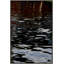Moonlight Nights 1 Print by Barbara DeBord-444219877