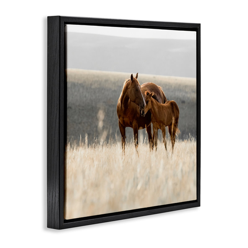 Cadre flottant paysage Montana Mares, design par Christy Berry, H 18 po x l 18 po, Cadre flottant noir de jais