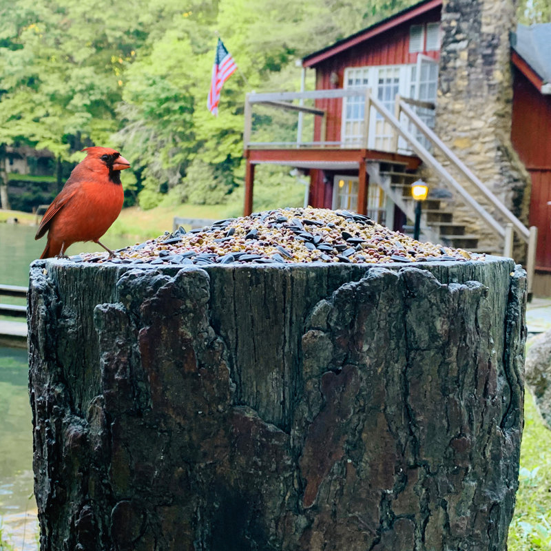 Stone Freestanding Decorative Bird Feeder