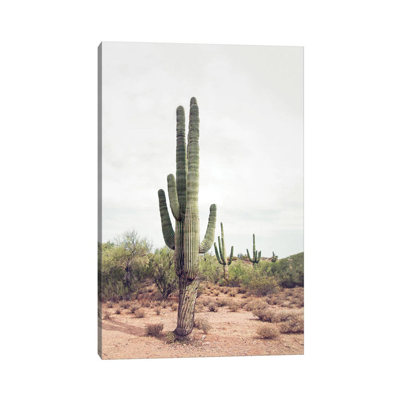 Desert Cactus Blush by Sisi & Seb - Wrapped Canvas Print, 101.6 cm H x 66.04 cm W x 3.175 cm D, Beige