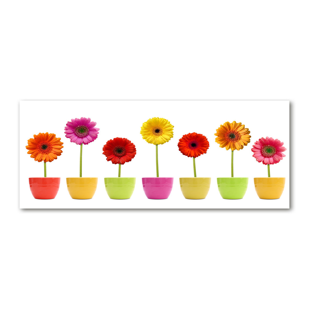 Glasbild Colorful Gerberas