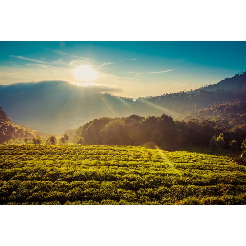Montagnes sous un beau lever de soleil par Focusp PhotoArt, H 24 po x l 36 po