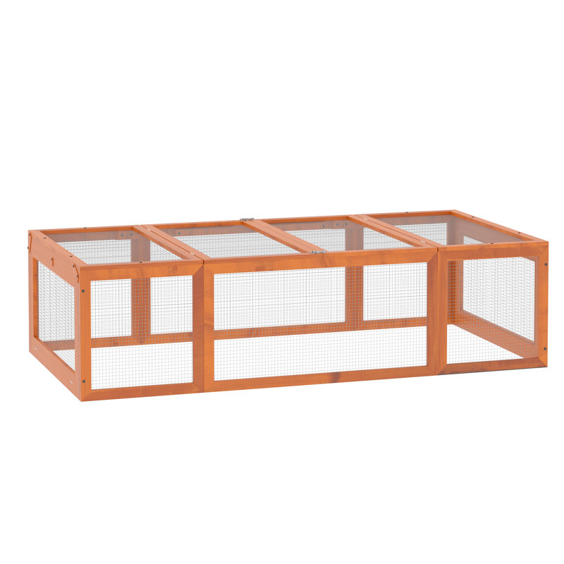 Cochon d'Inde spacieux en bois avec une construction stable et une porte de couchage verrouillable