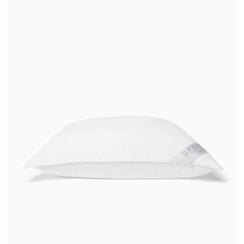 Camden Plush, Queen Pillow: 20" x 30"