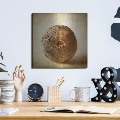 «Oak Pods 5» par Jessica Rogers