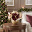 Hydrangea and Magonlia Leaf Holiday Centerpiece-521270830