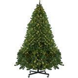 Pre-Lit Full Olympia Pine Artificial Christmas Tree With Clear/White Lights