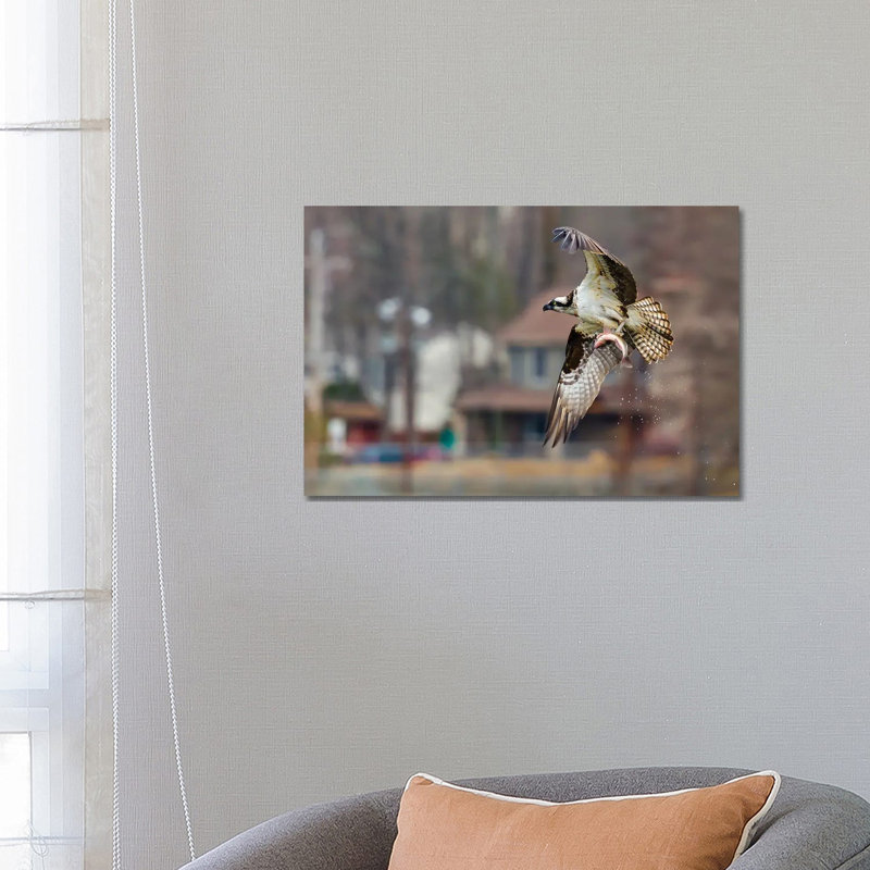 Osprey 1 Piece Wall Art on Canvas, 66.04 cm H x 45.72 cm W x 3.175 cm D, Wrapped Canvas