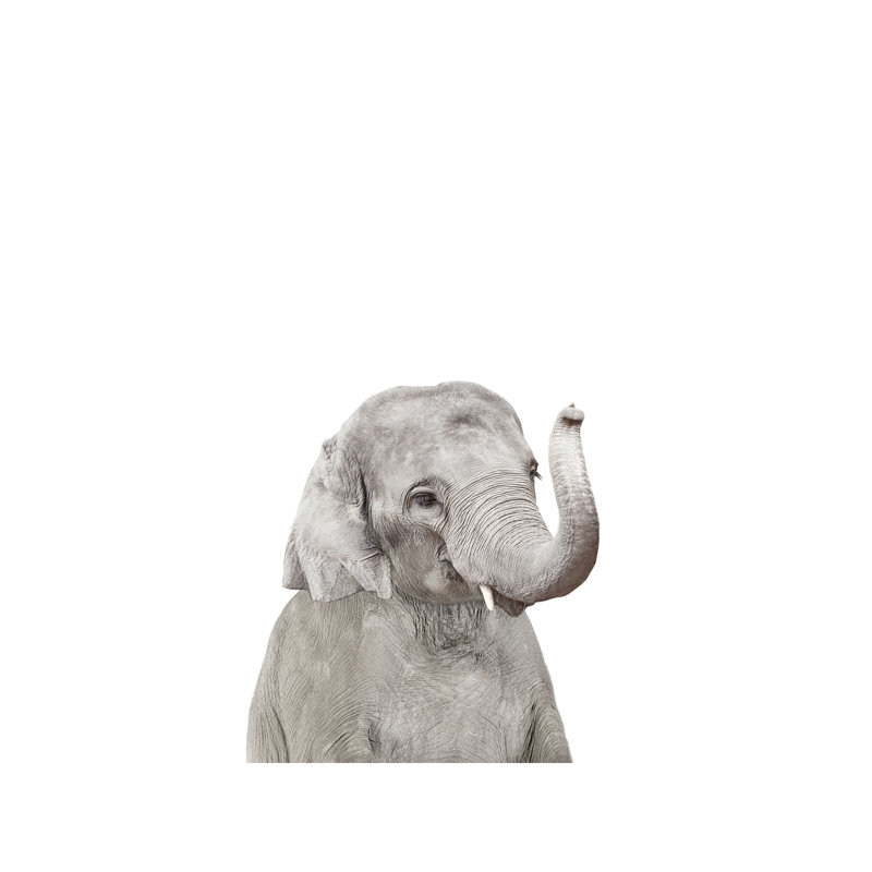 Baby Elephant - Wrapped Canvas Print, 101.6 cm H x 66.04 cm W x 3.175 cm D