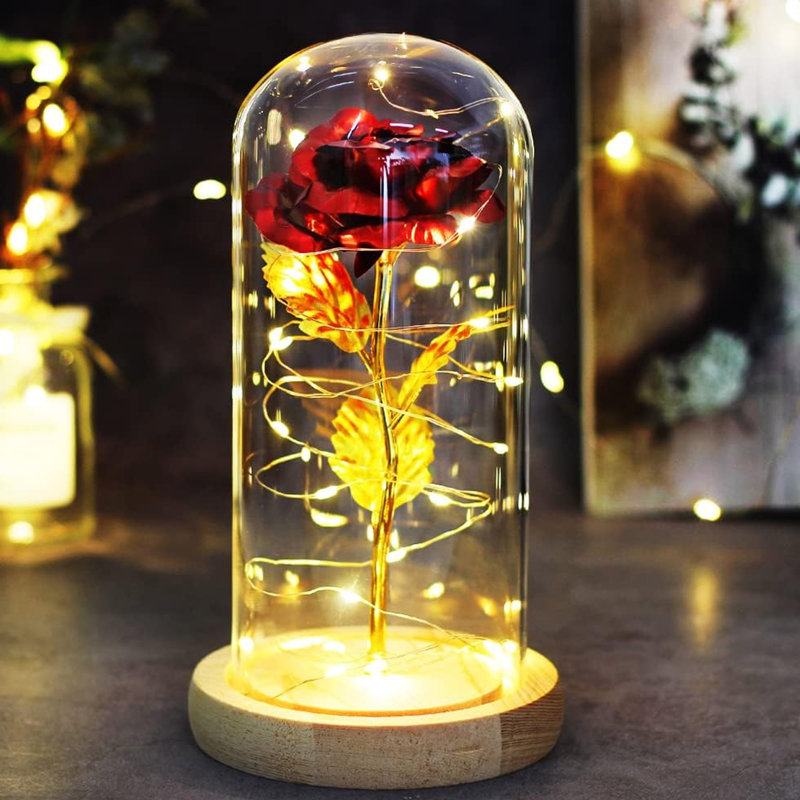 Mothers Day Mom Gifts Beauty Rose, Preserved Flower Rose Gifts for Her, Enchanted Rose with Led Light in Glass Dome, Unique Gift for Anniversary, Mother's Day, Birthday, Easter;Red