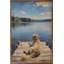 Lakeside Goldendoodle-963538619