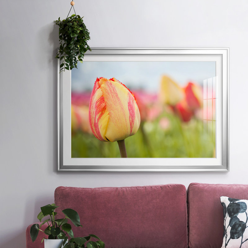 " Spring Sherbet ", Silver, 15" H x 21" W x 1.5" D