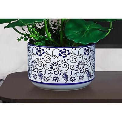 Ranunculus Arrangement in Pot