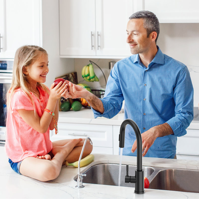 Pull Down Spray Single Lever Kitchen Tap, Black