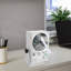 Ventilateur à air ionisant
