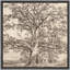 Arbre monochrome - reproduction de cadre flottant sur toile-96965472-96965471