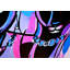 Fortitude (Bi Flag Variant) Painting Canvas