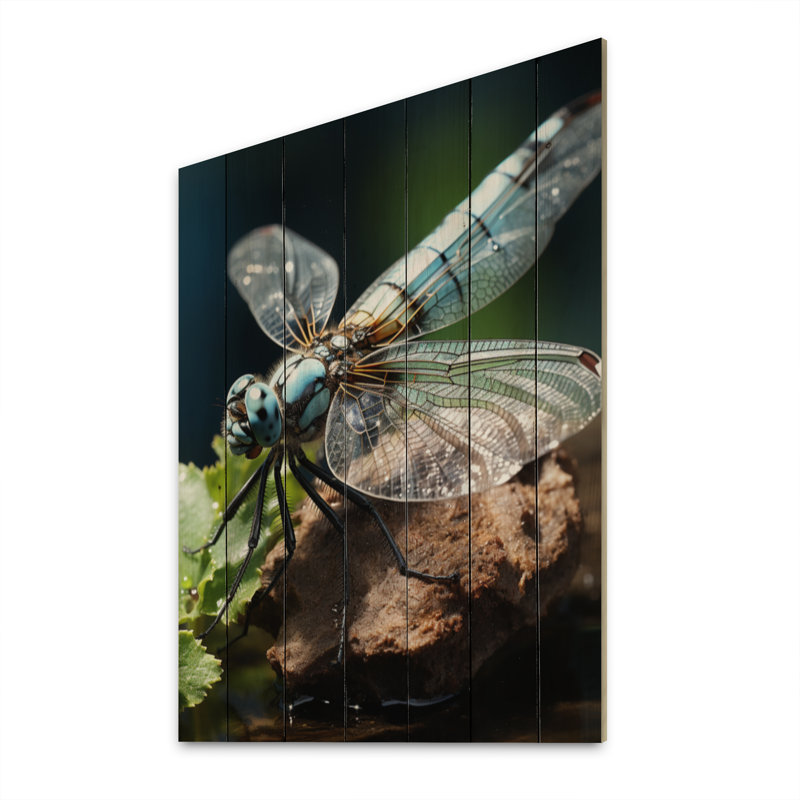 Libellule blanche sur fond d'insectes, H 20 po x l 10 po x P 0,78 po