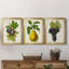Antique Fruit VI - ensemble de 3 impressions sur toile encadrées-227612692-227612690