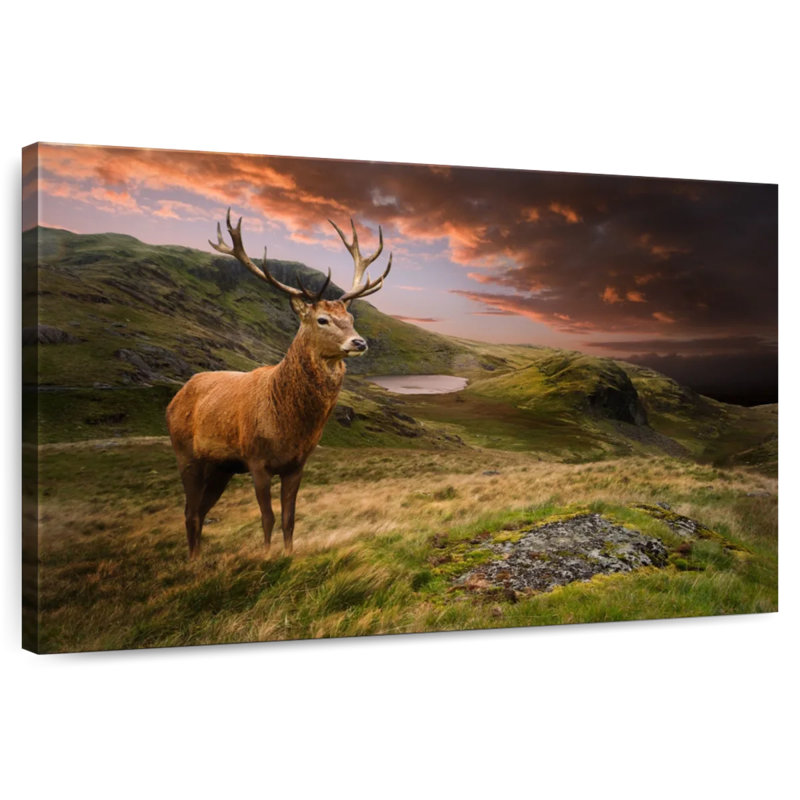 Crowle Deer au coucher du soleil, H 8 po x l 12 po