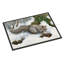 Paillasson d’extérieur antidérapant Turlock Squirrel-1618248092