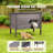 Outdoor Cat House