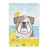 Bulldog (Beige & white)