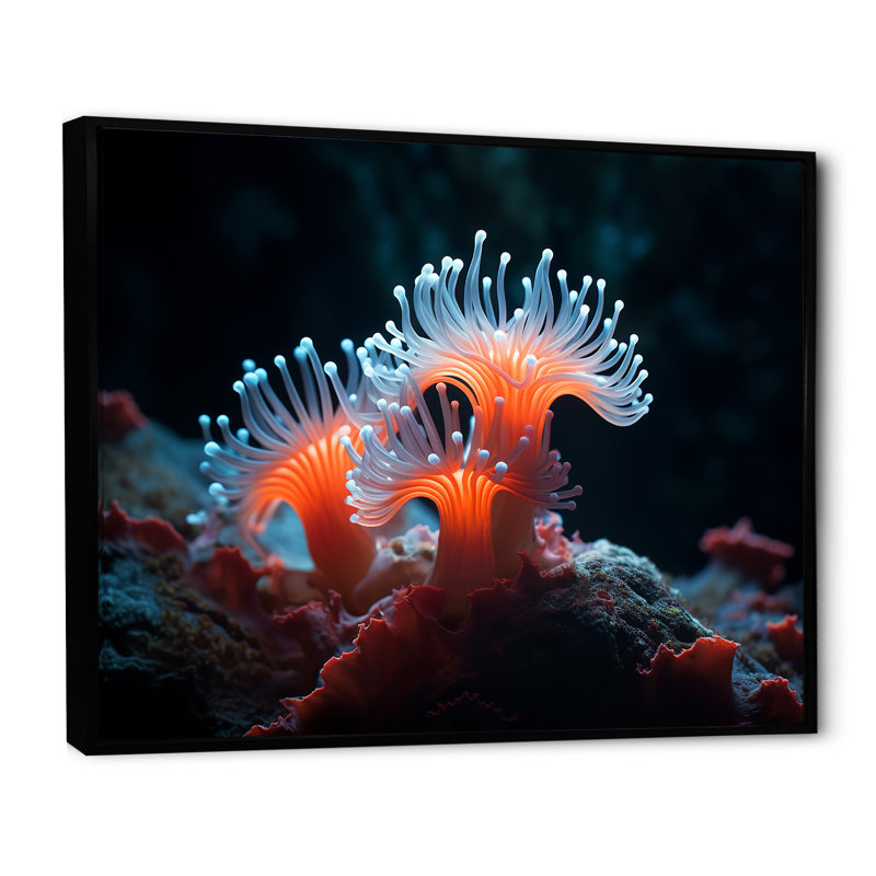 " The Orange Actinia Nature S Beauty ", Black Floater Framed, 30" H x 40" W x 1.5" D