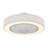 Flush Mount Ceiling Fan Light