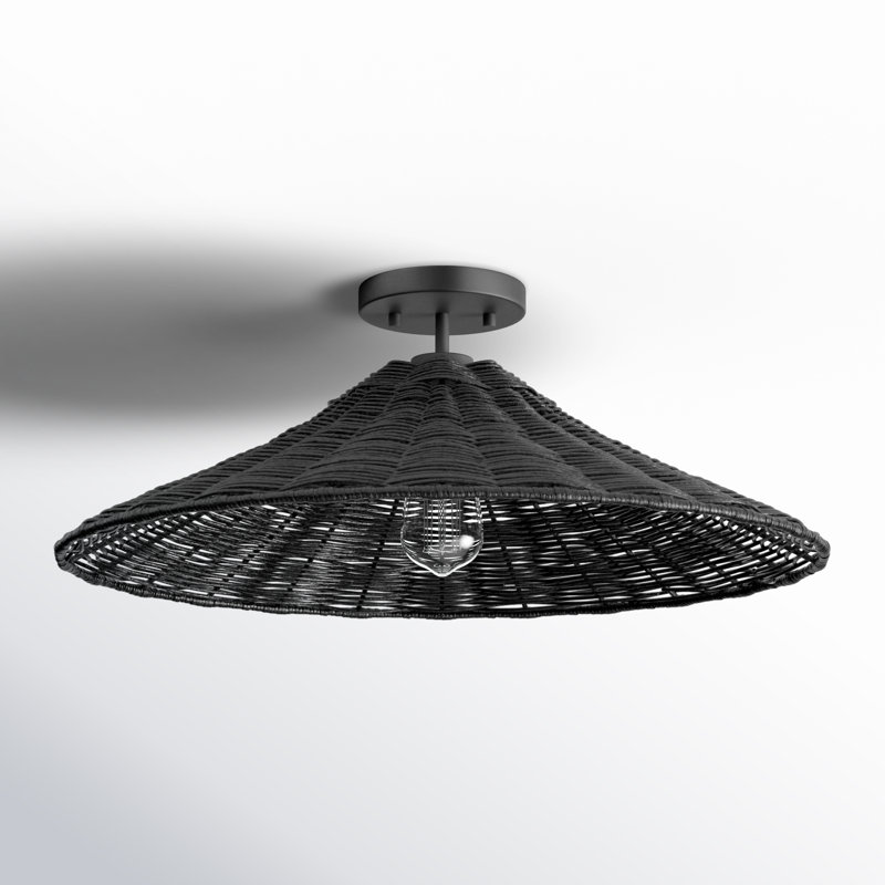 Lilliana 1-Light Ceiling Light in Matte Black, Matte Black