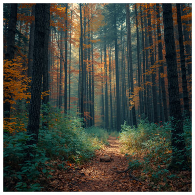 Rideaux de douche Autumn Forest