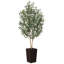 Faux olivier George avec protection UV, 2 troncs naturels, grand olivier décoratif en pot-413419795-413419797