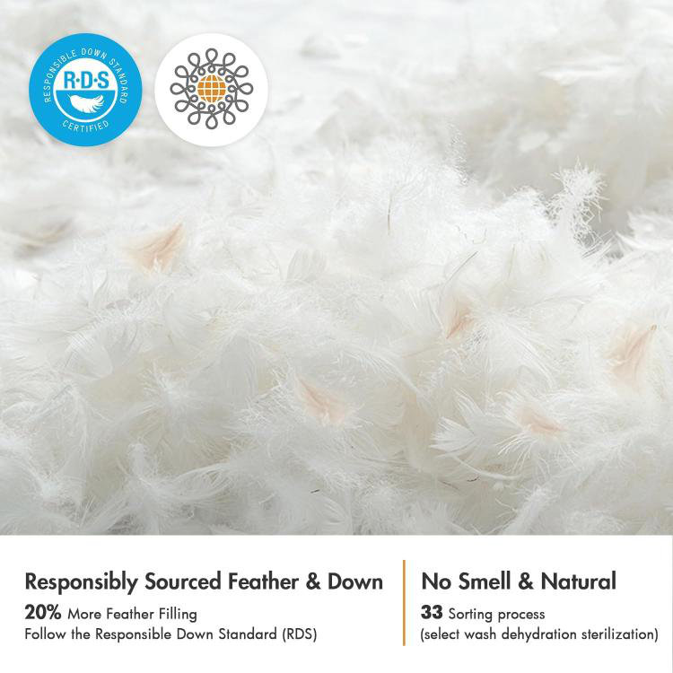 Coussins décoratifs, ensemble de 2 coussins décoratifs en duvet pour canapé-lit, coussins décoratifs moelleux en coton, 2