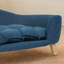 Canapé-lit en mousse de polyester (chat, chien)-1863683654