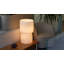 Totem Table Lamp Opal Glass Shades-1841135912