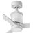 Merida 52'' Ceiling Fan with LED Lights