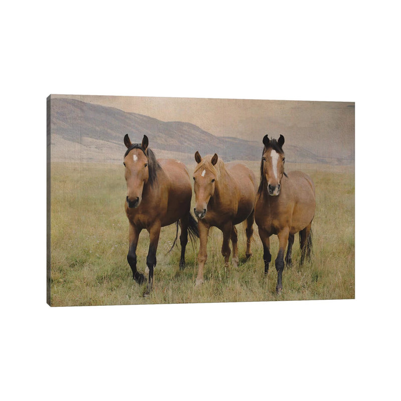 «Three convivial Mustangs» par - Toile tendue, H 8 po x l 12 po x P 0,75 po