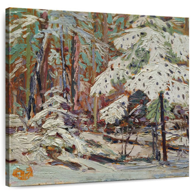 Alvord Snow In The Woods