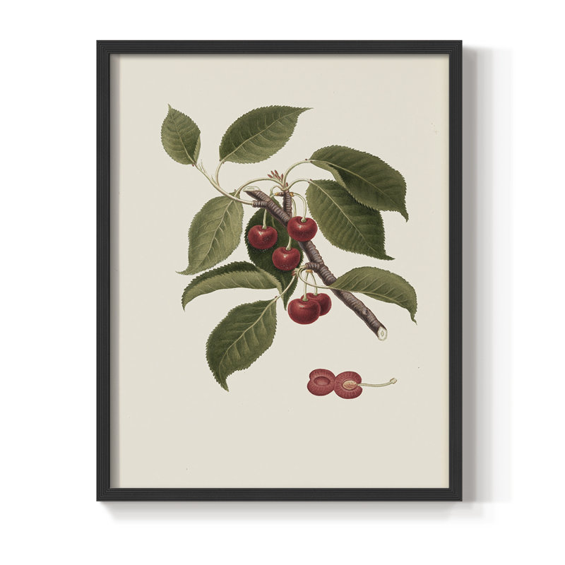 Impression florale vintage encadrée XL III - bois massif, Noir, noir, noir, noir, H 21 po x l 17 po