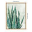 «Reaching Snake Plant» par PI Studio, reproduction d'art sur toile encadrée-109561688