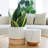 Chanko Ceramic Pot Planter-1026338917