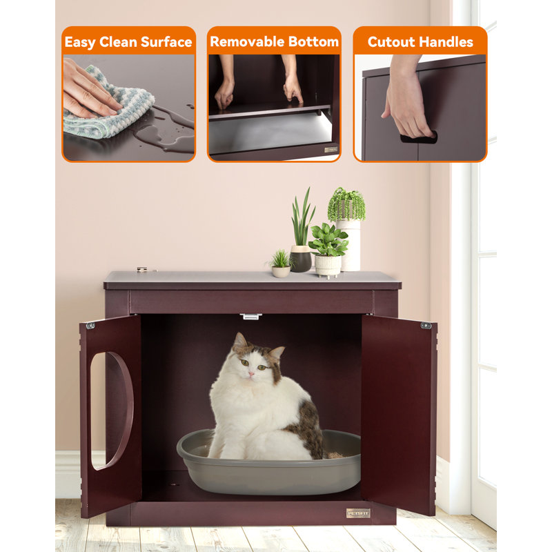 Enceinte pour chat, dépliable, sans assemblage, table pour chat et table de bout, espresso, Café