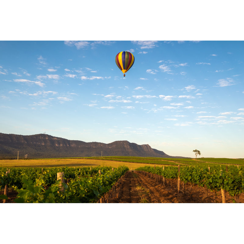 Hunter Valley Hot Air Ballooning - Wrapped Canvas Print, 30cm H x 46cm W x 3.8cm D