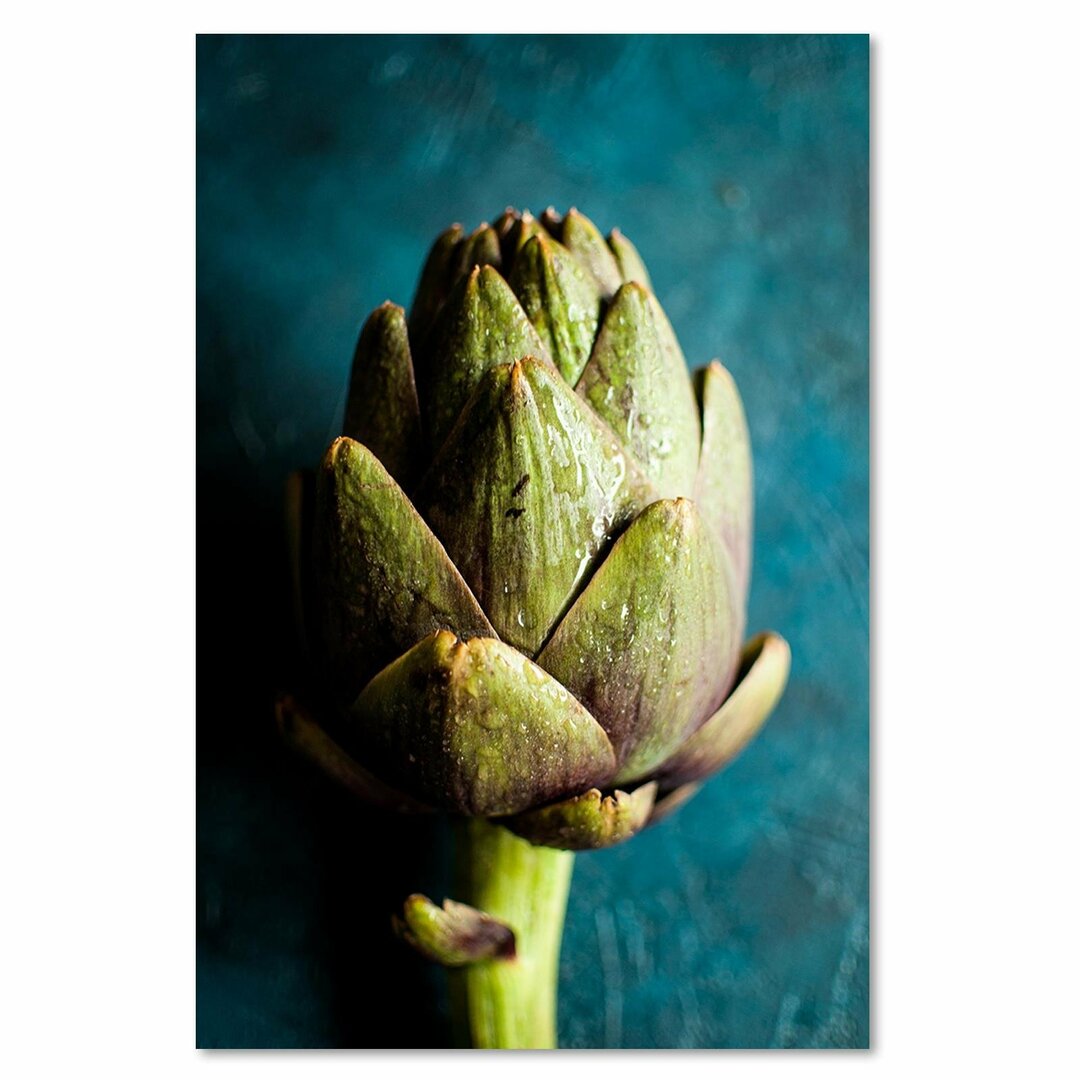 Leinwandbild - Grafikdruck „Artichoke”