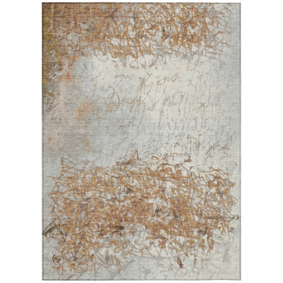 Machine Washable Indoor/Outdoor Chantille ACN2449 Casual Rug