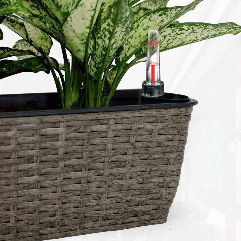 2-Pack Self-watering Planter