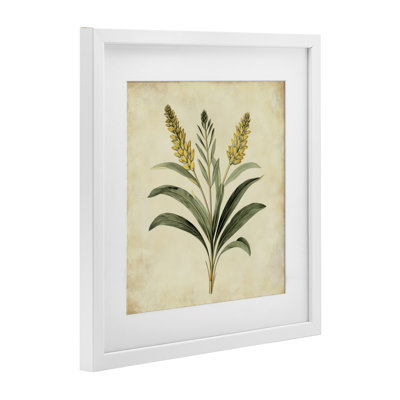 Illustration rétro, reproduction encadrée sous verre, par Petal Prints Design
