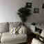 Customer photo 1 of 2